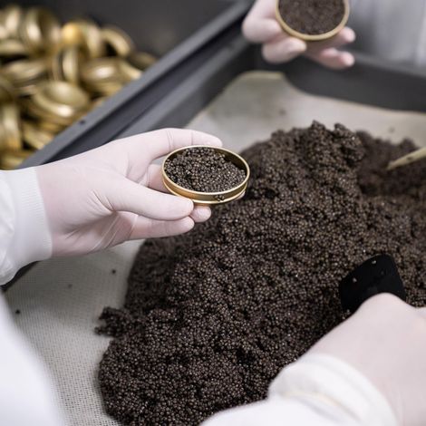 CAVIAR ET PRESTIGE - Product