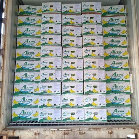 Agros Import Export International Corp._Banana_Cavendish