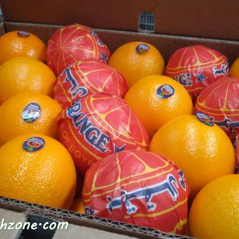 Egyptian Valencia Orange