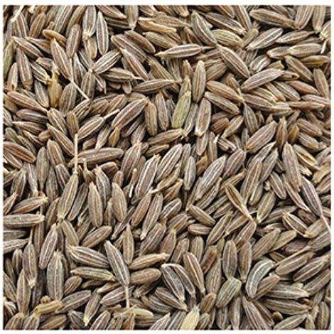 cumin-seed.jpg