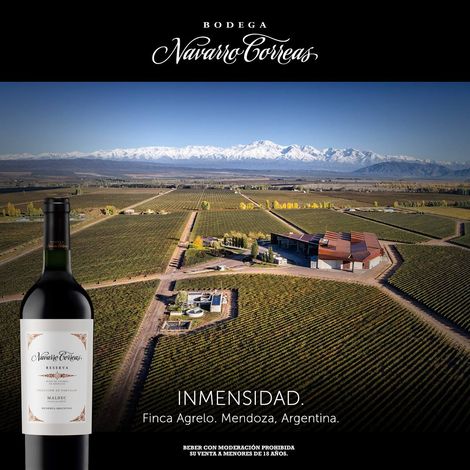 Navarro Correas - Vineyard