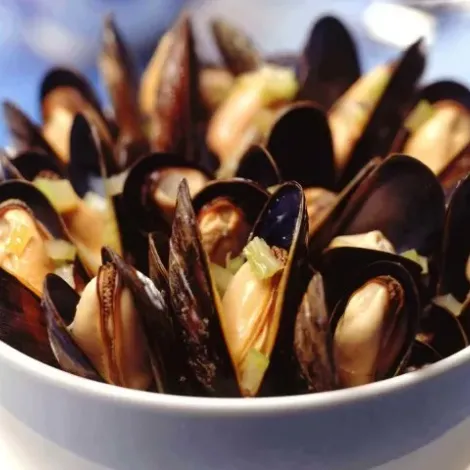 Ruggiero Seafood Inc.