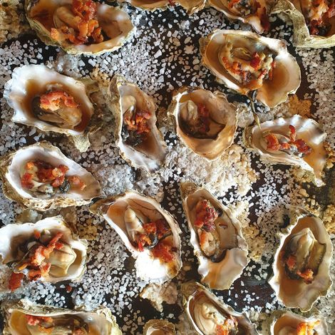 Mahurangi Oysters Limited
