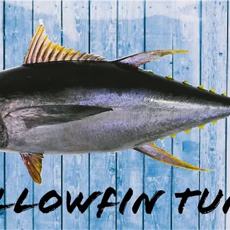 Essential Ocean Foods Inc. - Product