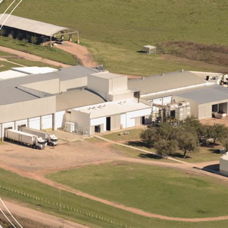 Slaughter Plant