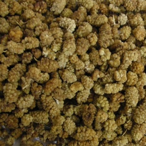 Mulberry