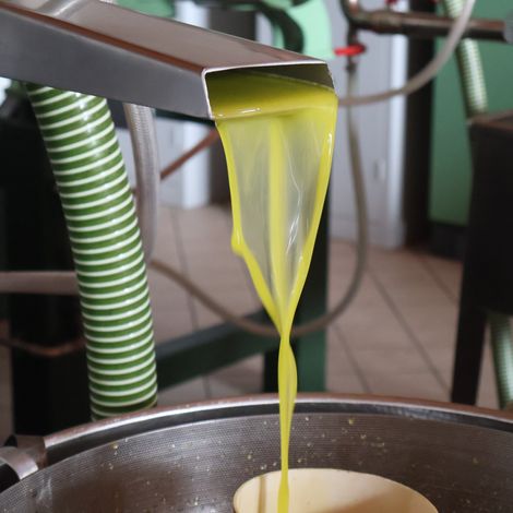Olive oil production