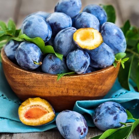 Bluberry