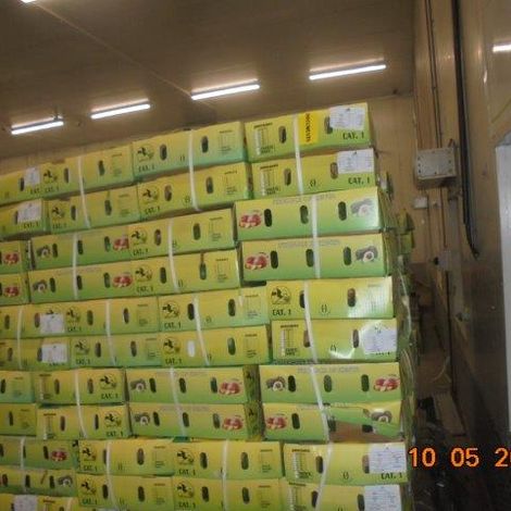 WhatsApp Image 2020-05-15 at 19.30.19 (1).jpeg