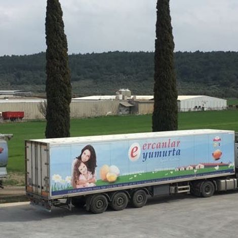 Ercanlar Yumurta Yarka Yem Gida insaat Nakliyat Sanayi Ve Ticaret A S