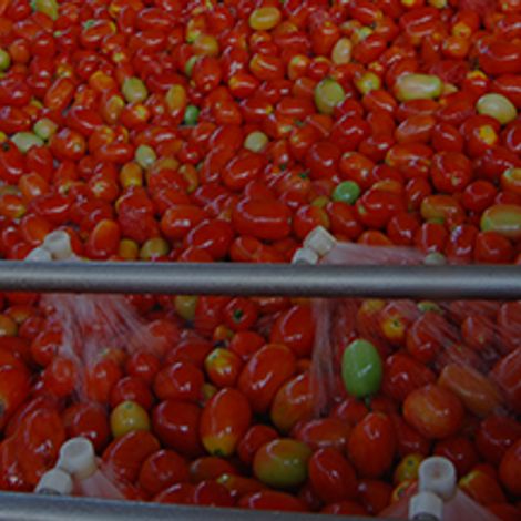 Goiás Verde Alimentos Ltda