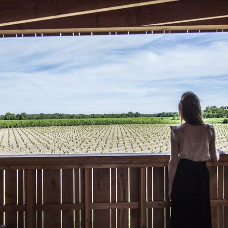 Photo of the terroir observatory