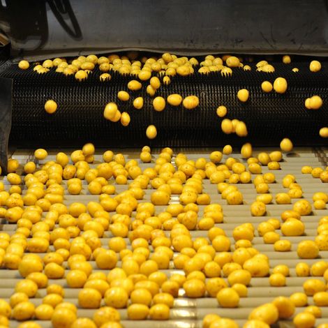 GROKA & Uetzer Zwiebel - Production