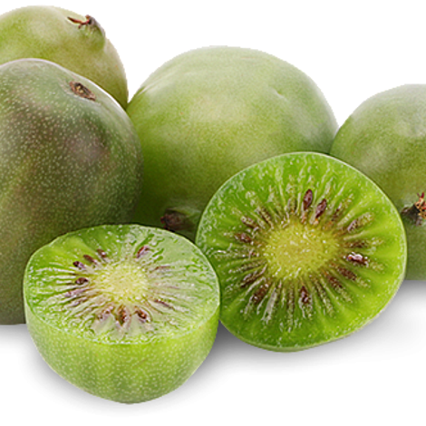 Kiwi