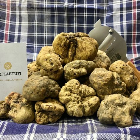 Fresh white truffles