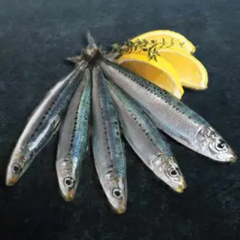 AO Seafood Ltd