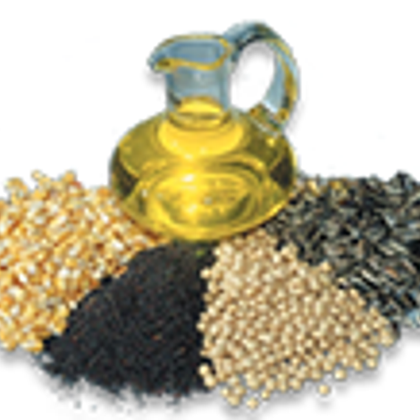 Premium Grains International - Products