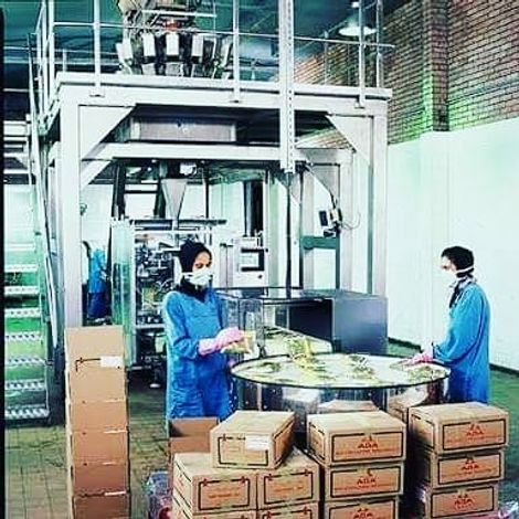 ETICO EGYPT - Packaging Area