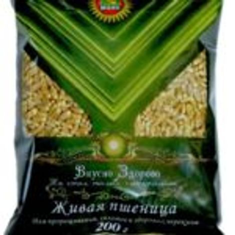 LLC PKF Mayak