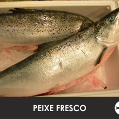 Nini Peixe, Lda.