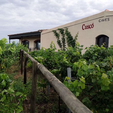 Vins i Caves Cuscó Berga