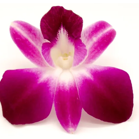 Screenshot 2023-04-28 163025.png