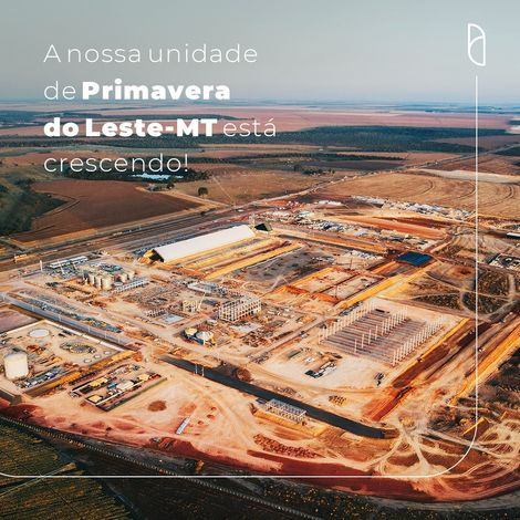 FS Bioenergia