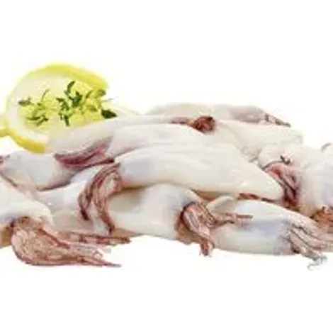 Quadragel - Trade of Frozen Products, Lda.