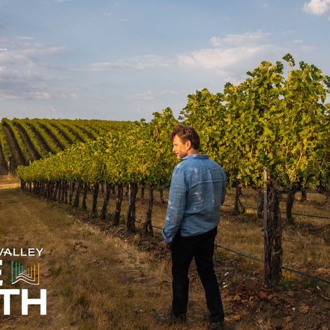 Vineyards