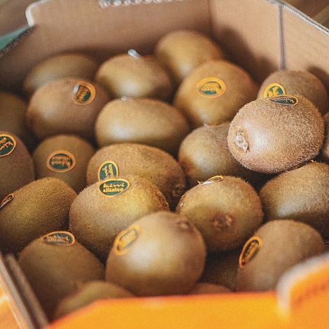 KIWI ATLANTICO, S.A. - Products