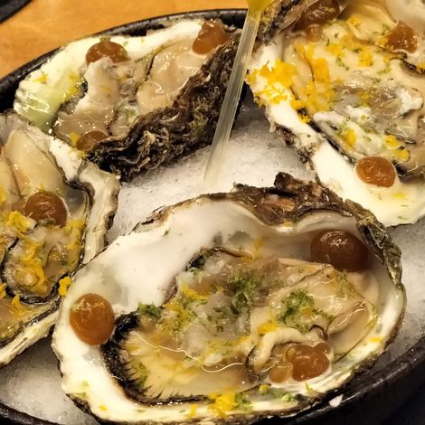 CITRICS TERRES DE L'EBRE, SAT