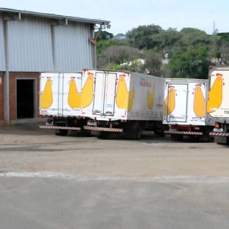 Abatedouro Coroaves - Transportation