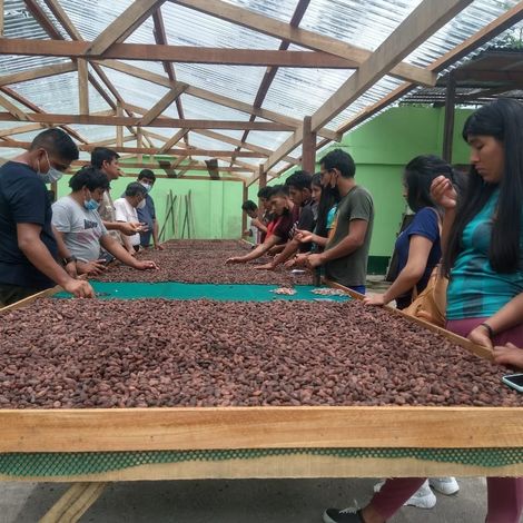 Asociacion De Productores Cacao Alto Huallaga - Facility