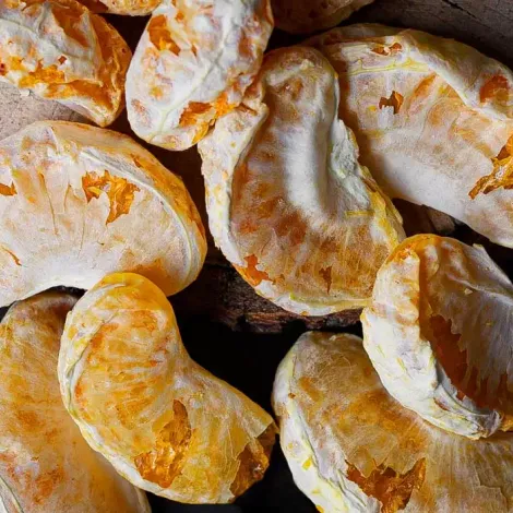 Eregli Agrosan
