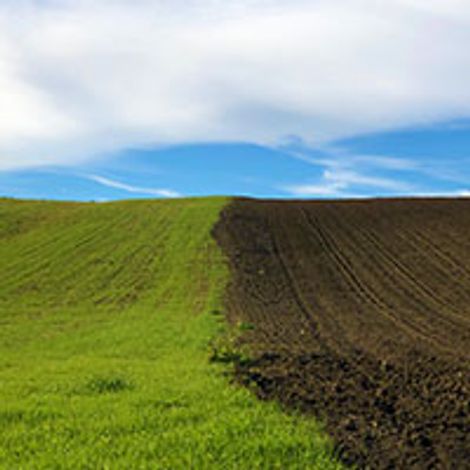 filiera_territorio.jpg