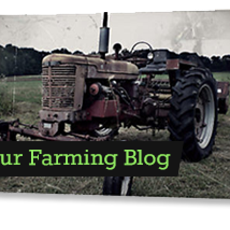 White Wolf Potato Company