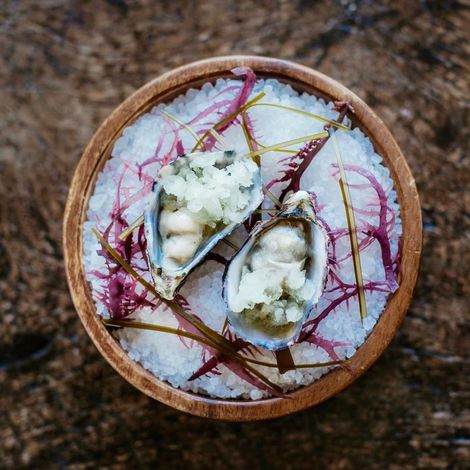 Tematuku Oysters Limited