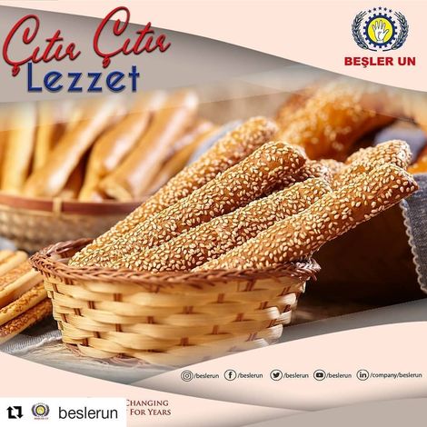 Bessan Makarna Gida San. Ve Tic. A.S.