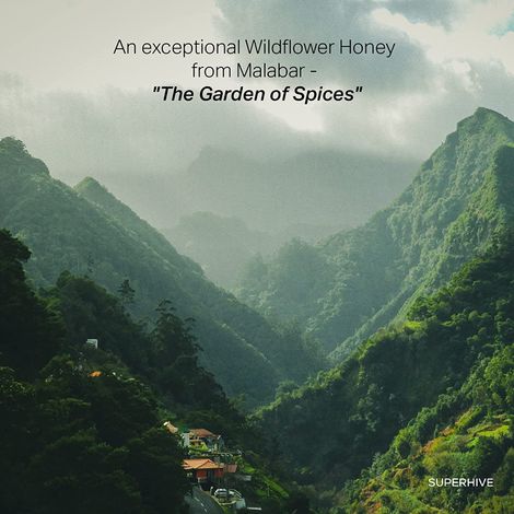 Honey from Malabar hills : Garden of spices