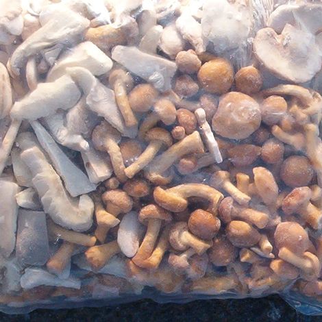 Lianyungang Longda Fine Foods Co.,Ltd