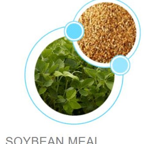 Soybean meal