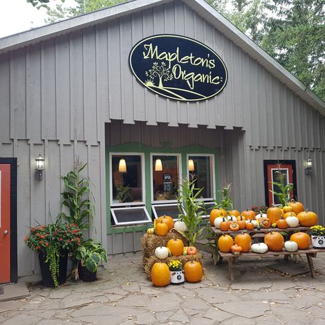 Mapleton's Organic Dairy