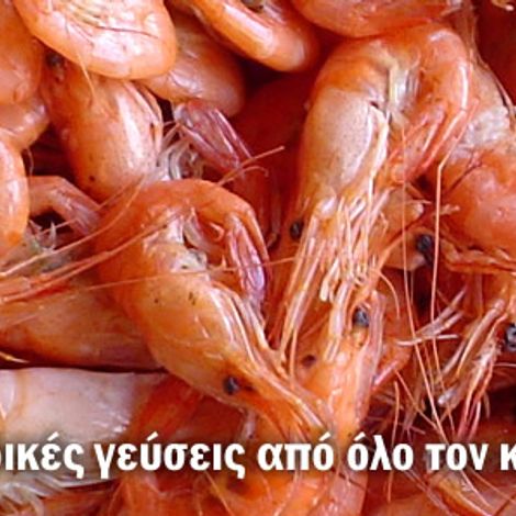 banner_3.jpg