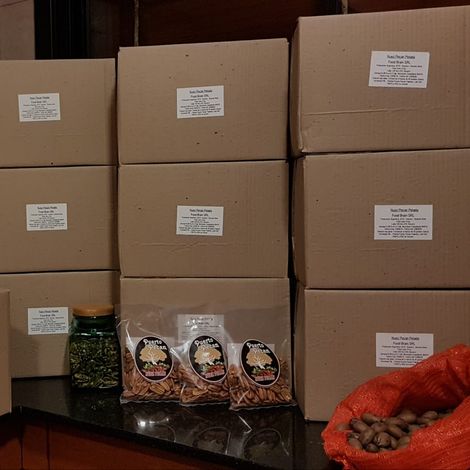Shelled Pecans