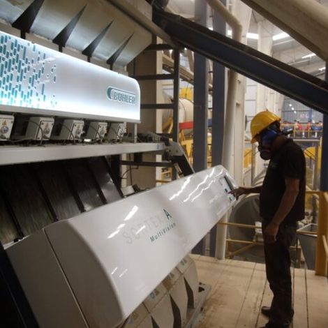 All Spice - Cardomino S.A.