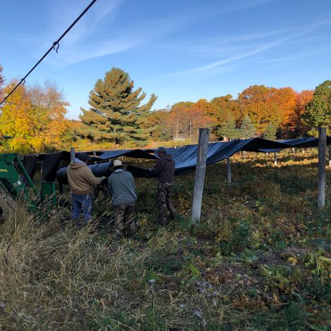 Hsu’s Ginseng Enterprises, Inc.