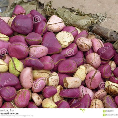KOLANUT