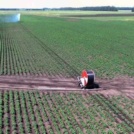 Farms