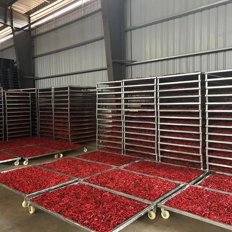drying chilis