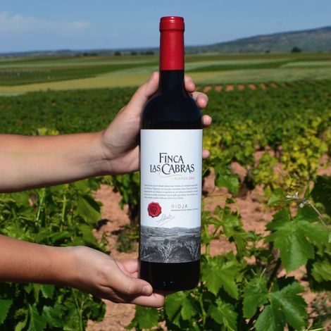 Bodegas Cuna de Reyes